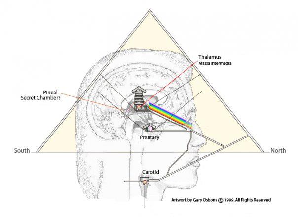 view guide