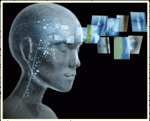 Changing _brain Changing brain 300x241 The Changing Brain