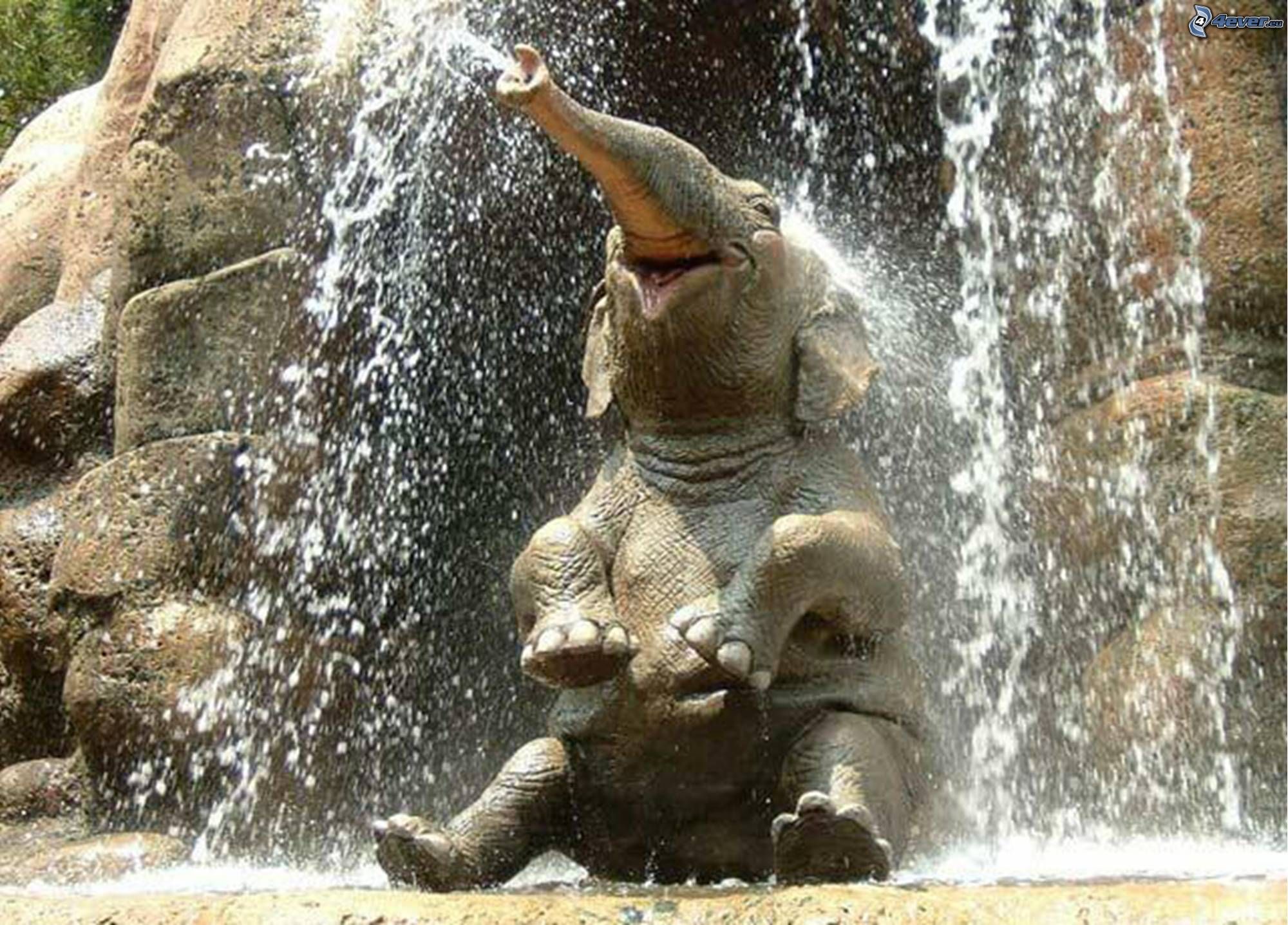 happy elephant 300x215 Happiness Part 3: How to Train the Elephant